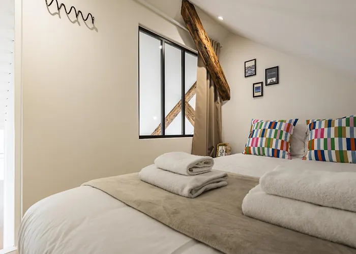 Le Sacré Perchoir De La Cathédrale * Reims