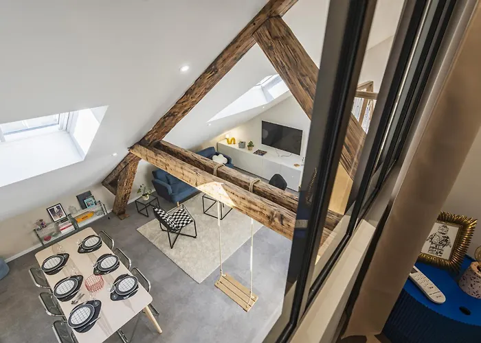 Le Sacré Perchoir De La Cathédrale * Reims